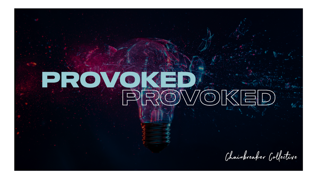 Provoked | The Truth About Spiritual Discipline